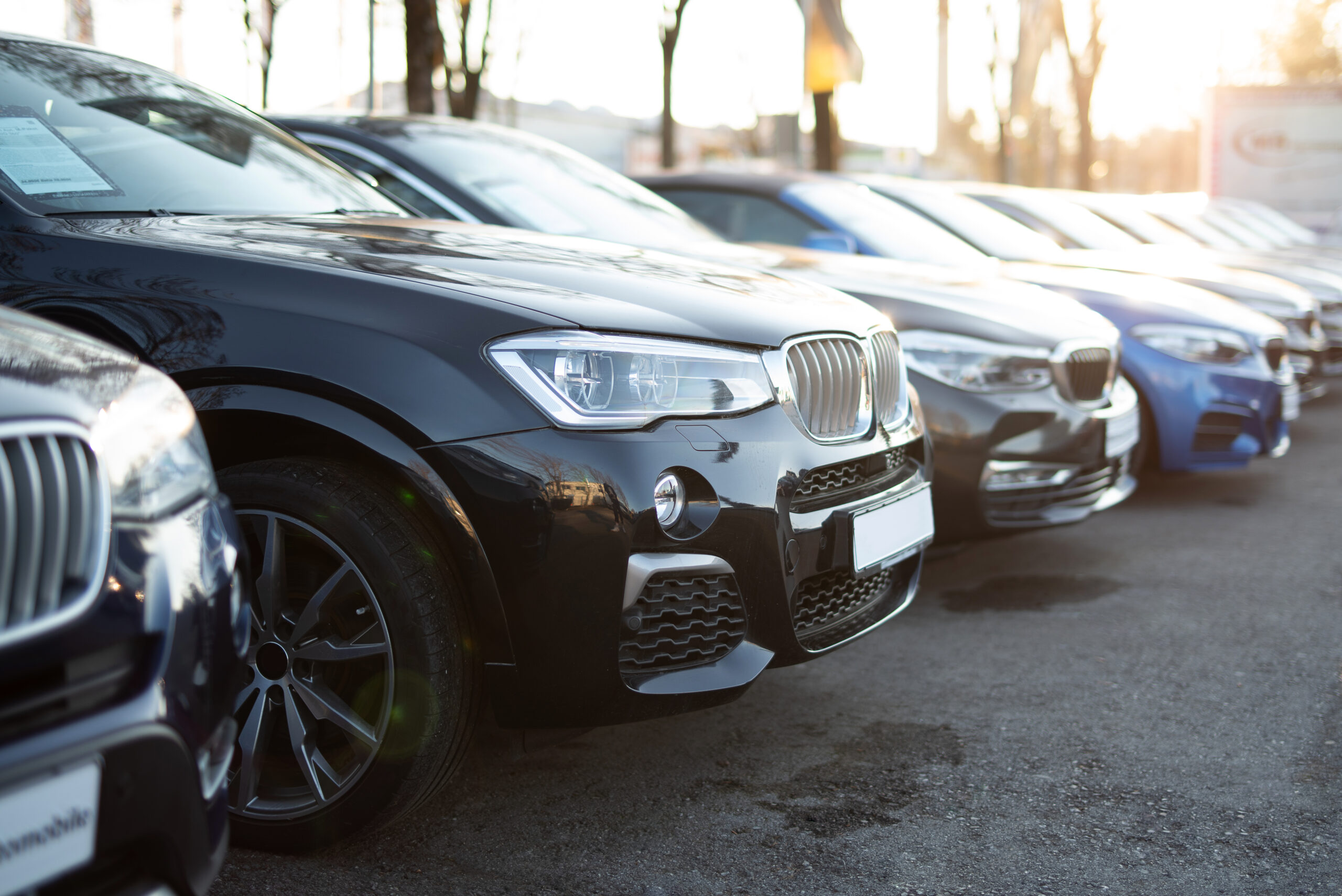 Looking For Used Cars in Halifax? Check Out These SUVs Hayden Auto