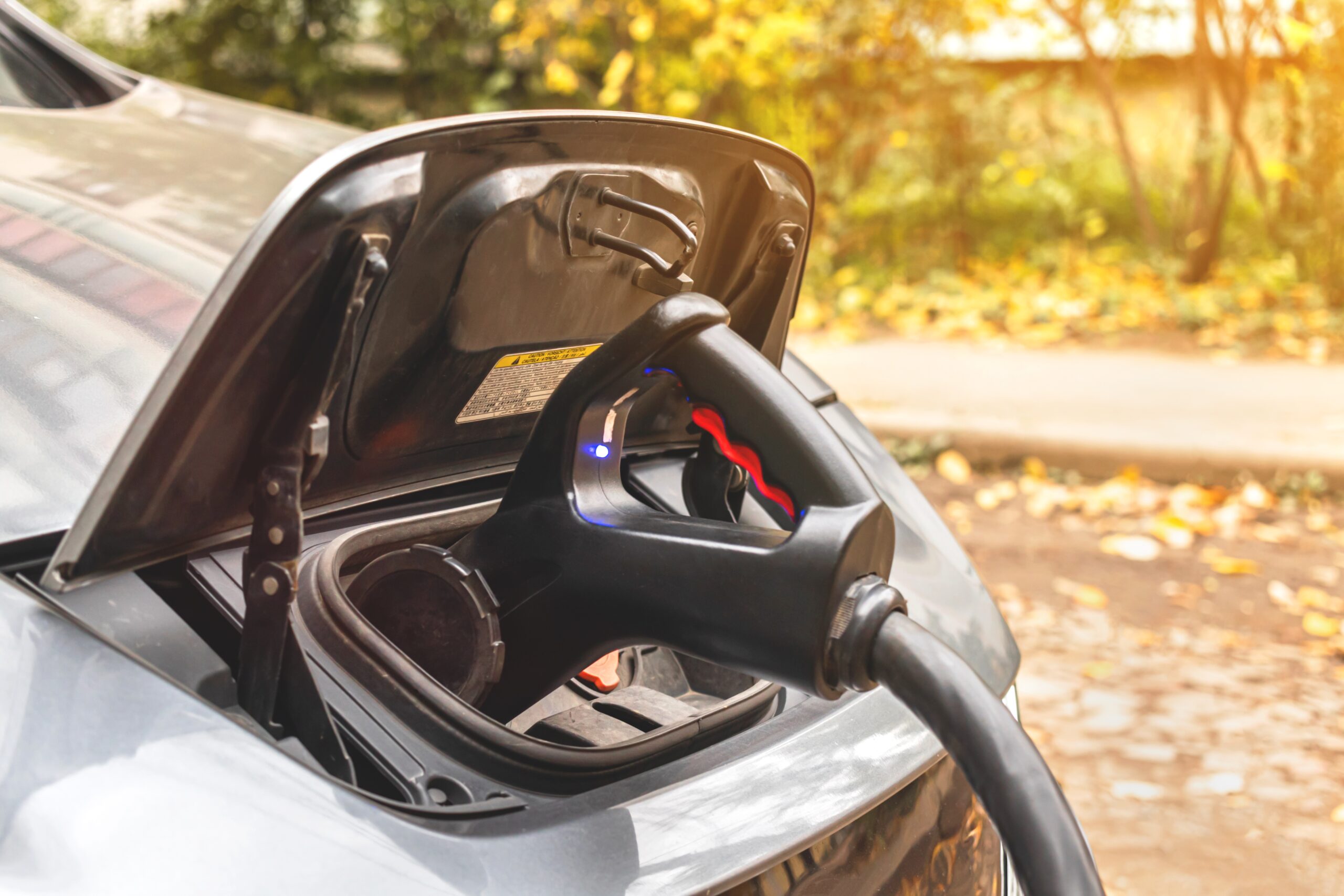 Car Loans for AllElectric Vehicles or Hybrids in Canada Hayden Auto